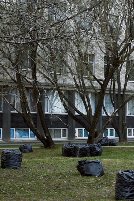 The image depicts a grassy area in front of a multi-storey residential building, with several large black rubbish bags scattered across the ground. The bags appear to be filled with waste and are loosely positioned on the lawn, some leaning on each other and others standing alone. The foreground features a few bags prominently, with additional bags visible further back near the building's base. The building has a grey brick facade with large, rectangular windows, some of which are partly obscured by leafless tree branches extending across the scene. The trees are tall, with dark, textured bark and branches that crisscross the view, indicating a winter or early spring setting. The lighting is natural, subdued and overcast, contributing to a neutral and professional tone consistent with waste management documentation. The image demonstrates an example of private rubbish clearance in an urban residential environment, highlighting the collection of waste outside a building, supporting the context of independent rubbish removal services that are often used as an alternative to council collection.